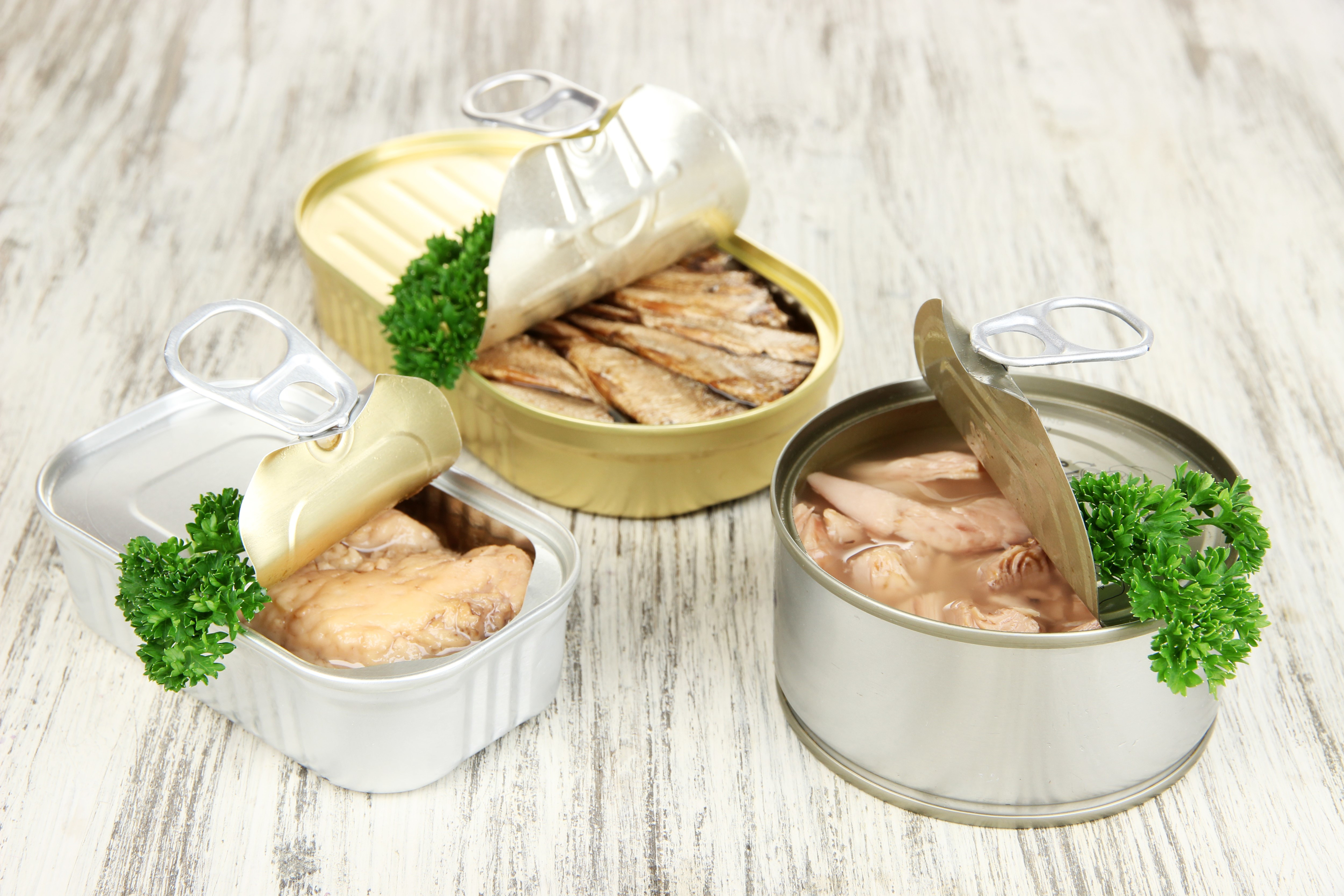 Canned Fish & Meat